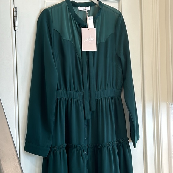 Calie Paris Green Ruffled Dress Sheer Scalloped Fabric At Chest sz.40 or M NWT - Picture 2 of 13